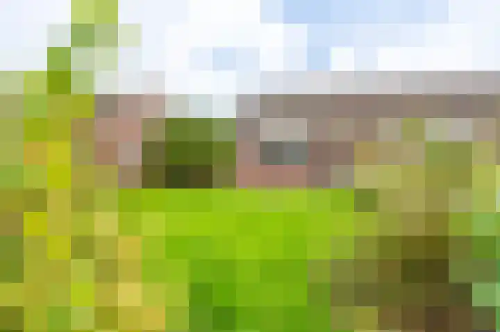 Duivenslag 17 Delfzijl thumbnail 15