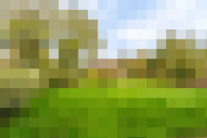 Duivenslag 17 Delfzijl thumbnail 16