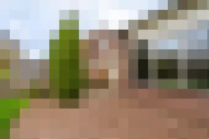 Duivenslag 17 Delfzijl thumbnail 17