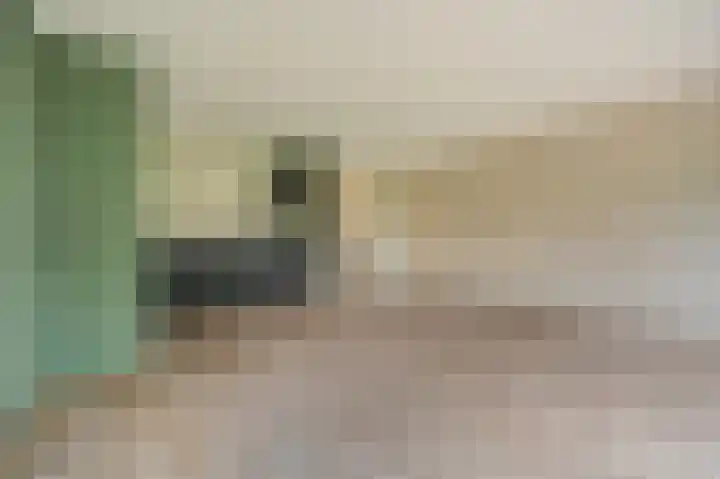 Duivenslag 17 Delfzijl thumbnail 24