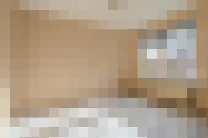 Duivenslag 17 Delfzijl thumbnail 27