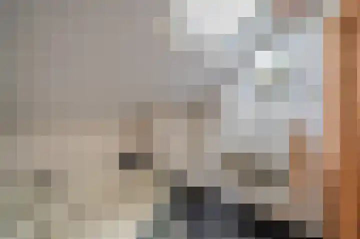 Duivenslag 17 Delfzijl thumbnail 36