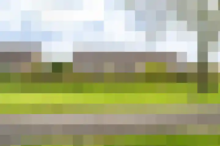 Duivenslag 17 Delfzijl thumbnail 8