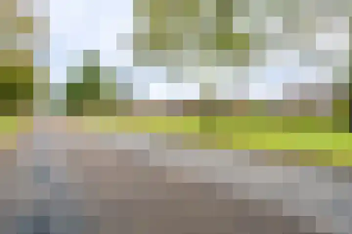 Duivenslag 17 Delfzijl thumbnail 9