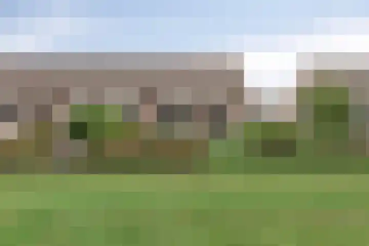 Duivenslag 19 Delfzijl thumbnail 10