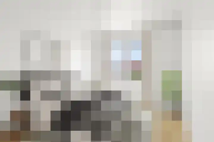 Duivenslag 19 Delfzijl thumbnail 15