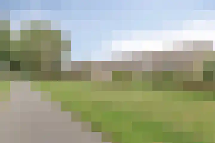 Duivenslag 19 Delfzijl thumbnail 28