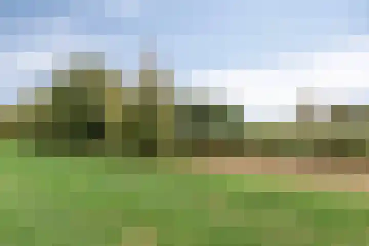 Duivenslag 19 Delfzijl thumbnail 29