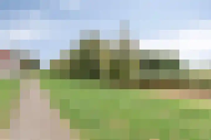Duivenslag 19 Delfzijl thumbnail 30