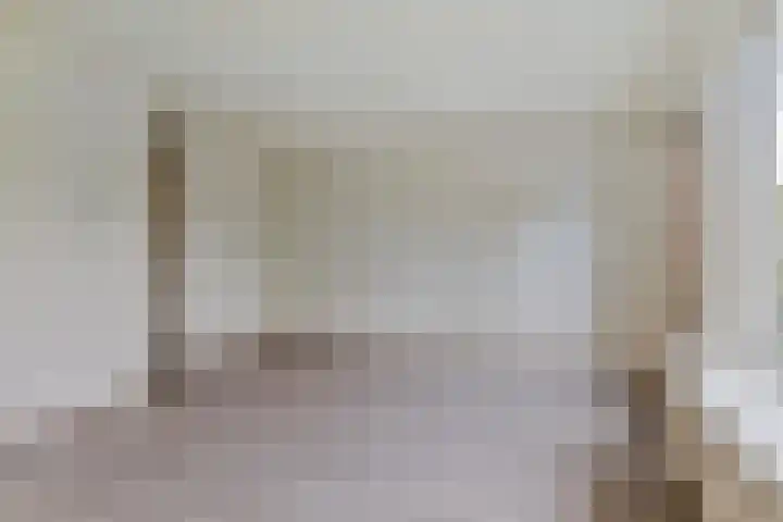 Duivenslag 19 Delfzijl thumbnail 5