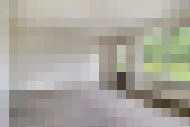 Duivenslag 19 Delfzijl thumbnail 6