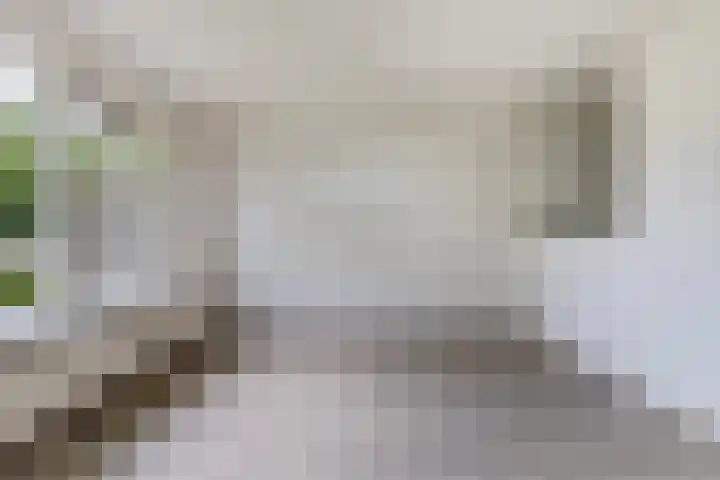 Duivenslag 19 Delfzijl thumbnail 7