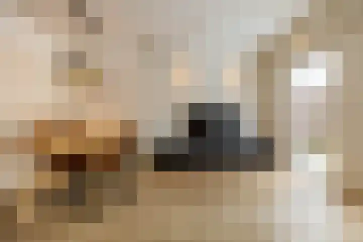 Duivenslag 27 Delfzijl thumbnail 23