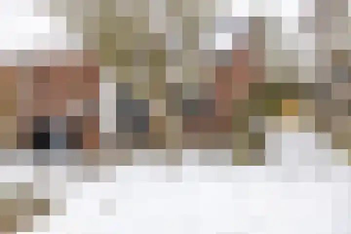 Duivenslag 27 Delfzijl thumbnail 4