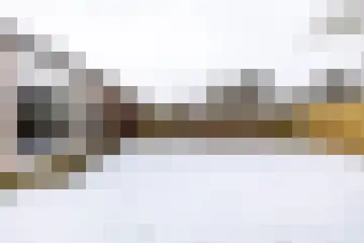 Duivenslag 27 Delfzijl thumbnail 40