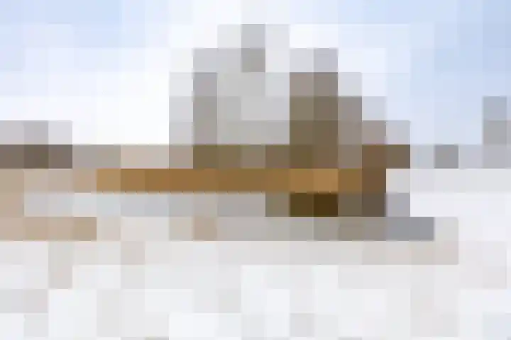 Duivenslag 27 Delfzijl thumbnail 44