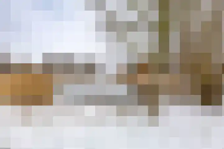 Duivenslag 27 Delfzijl thumbnail 45