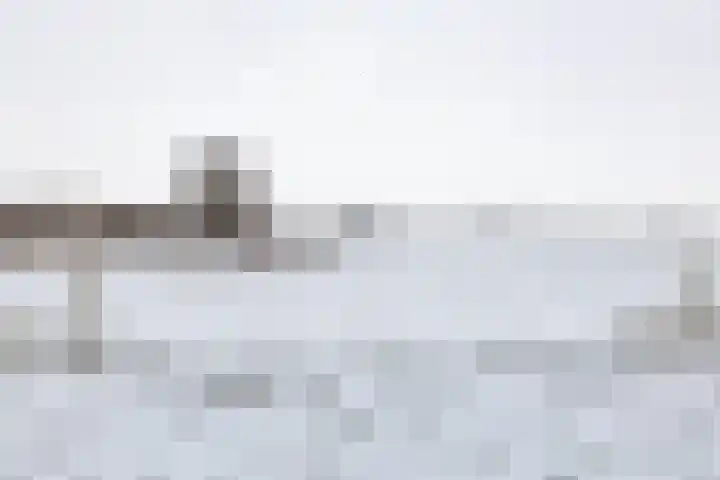 Duivenslag 27 Delfzijl thumbnail 46