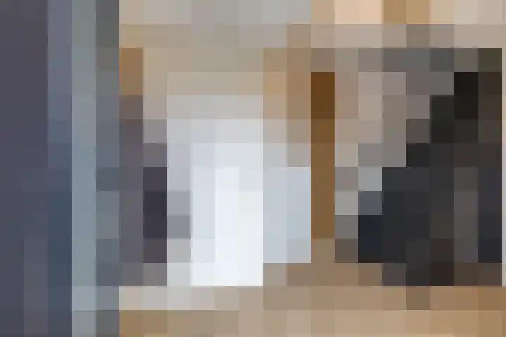 Duivenslag 27 Delfzijl thumbnail 6