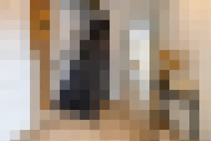 Duivenslag 27 Delfzijl thumbnail 7