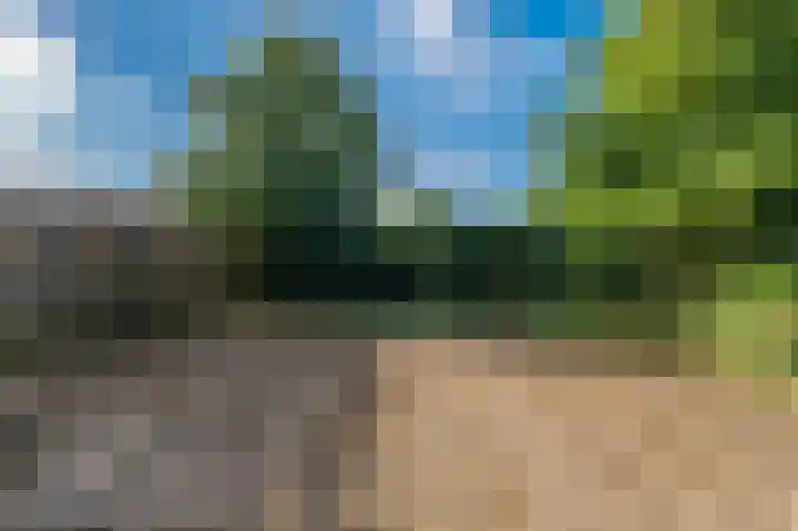 Duivenslag 37 Delfzijl thumbnail 10