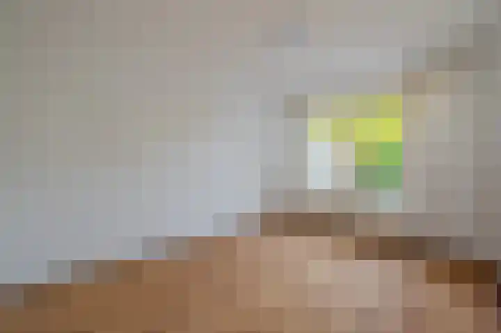 Duivenslag 37 Delfzijl thumbnail 4
