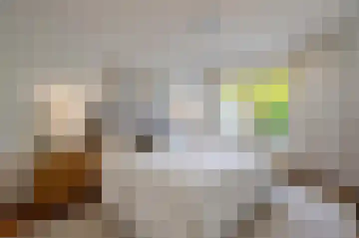 Duivenslag 37 Delfzijl thumbnail 5