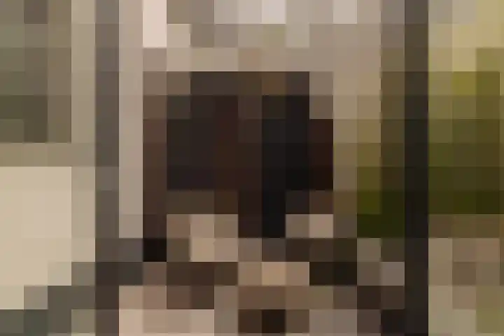 Duivensteeg 2 A Naarden thumbnail 16
