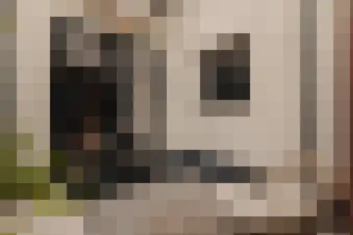 Duivensteeg 2 A Naarden thumbnail 41