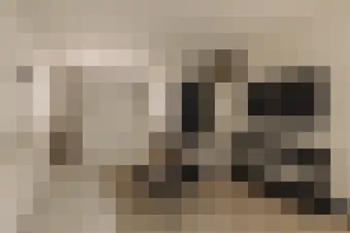 Duivensteeg 2 A Naarden thumbnail 8