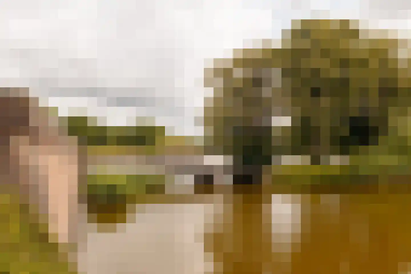 Duivensteeg 2 B Naarden thumbnail 18