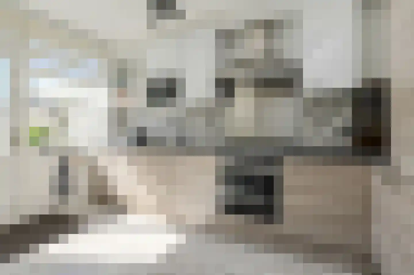 Duivensteen 91 Zevenbergen thumbnail 13