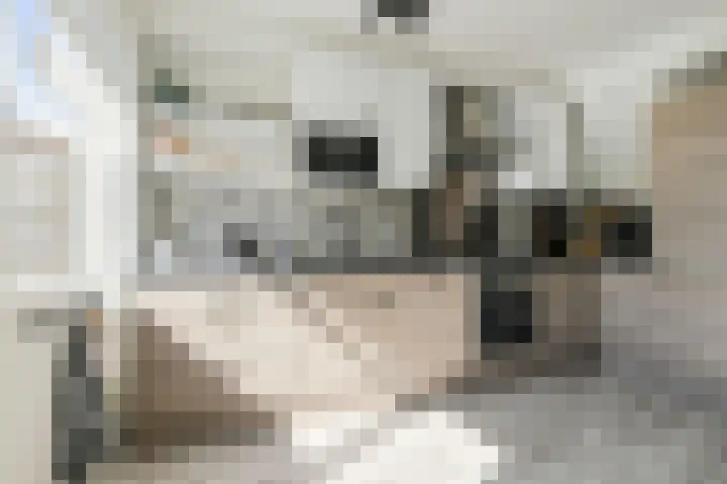 Duivensteen 91 Zevenbergen thumbnail 17