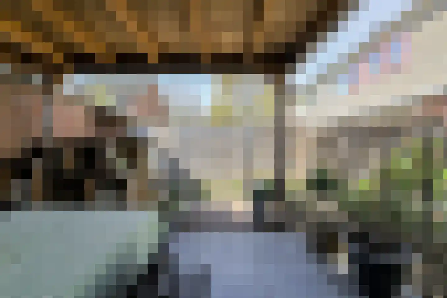 Duivensteen 91 Zevenbergen thumbnail 41