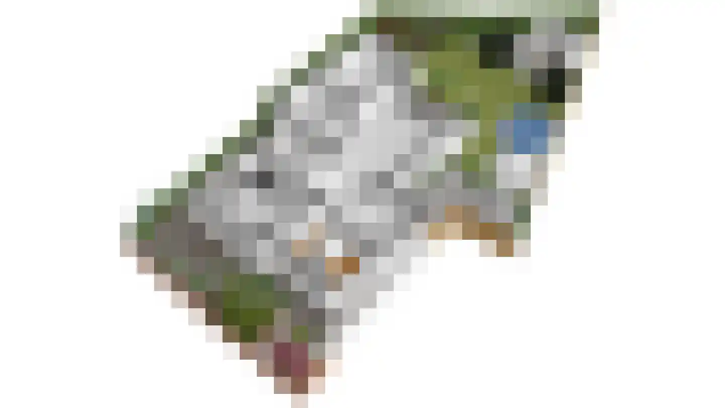 Duivenstraat 17 Mheer thumbnail 22