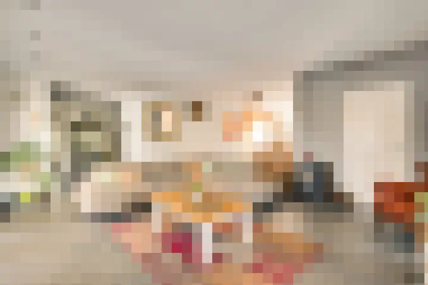 Duivenstraat 17 Mheer thumbnail 6