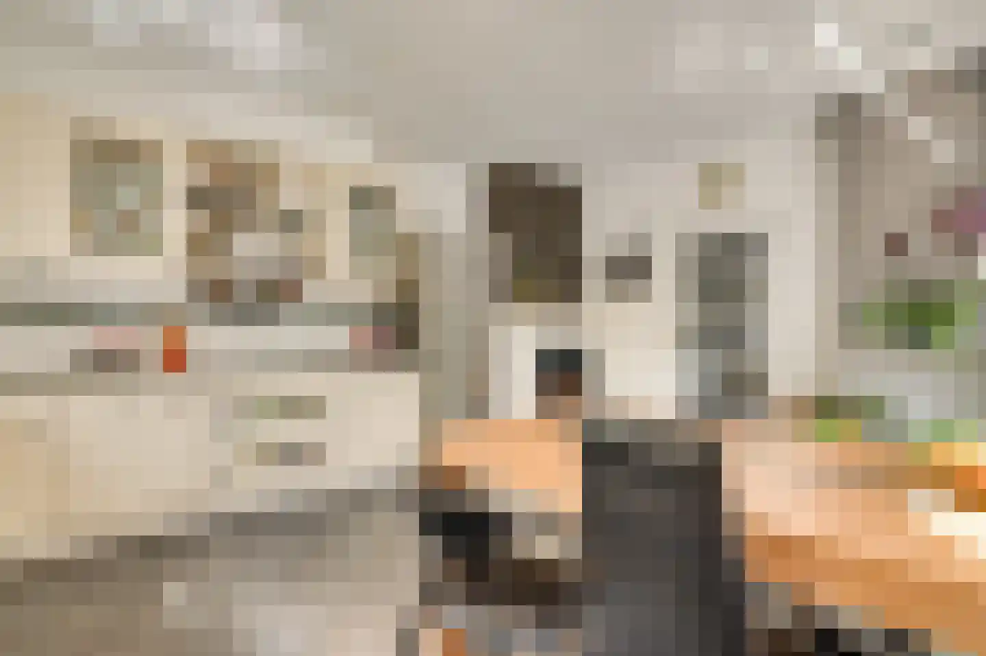 Duivenstraat 17 Mheer thumbnail 9