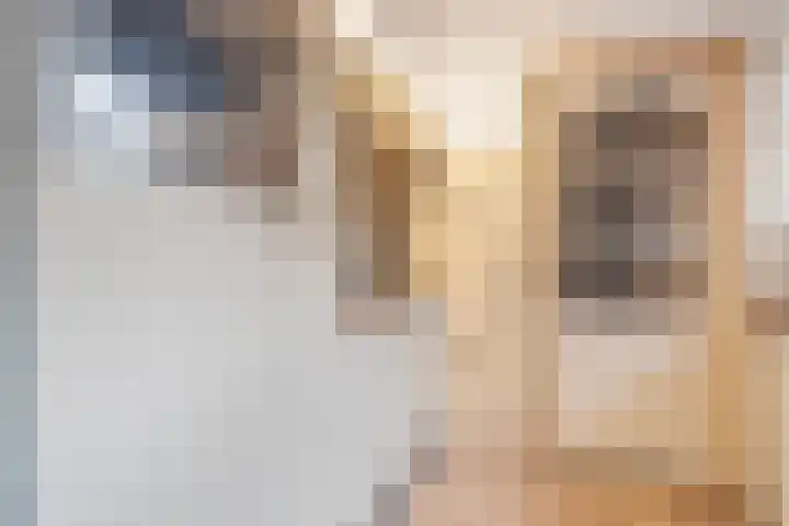 Duivenstraat 2 Oss thumbnail 13