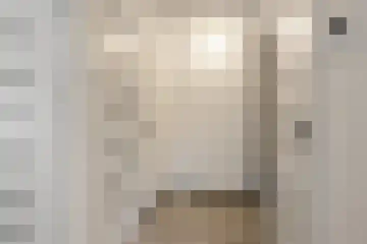 Duivenstraat 2 Oss thumbnail 15