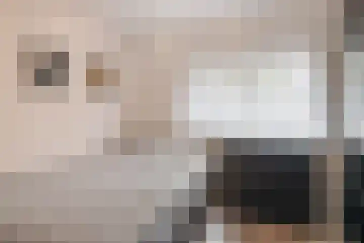 Duivenstraat 2 Oss thumbnail 16