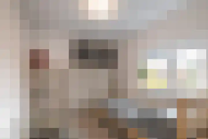 Duivenstraat 2 Oss thumbnail 18