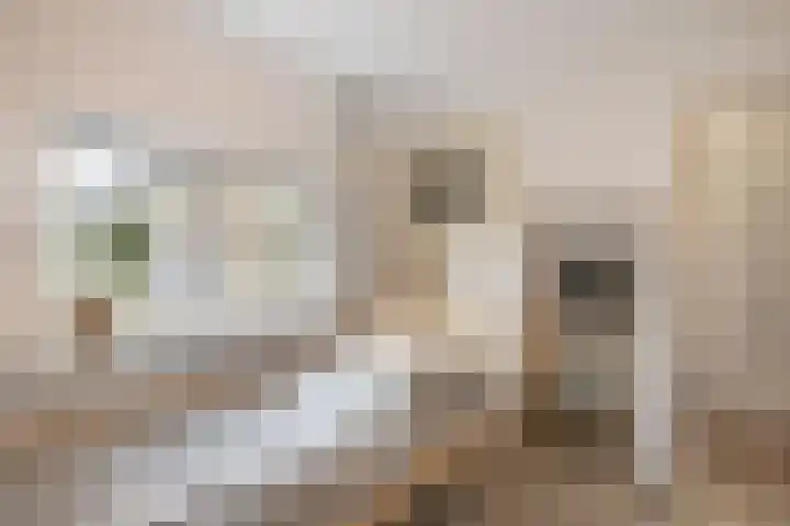 Duivenstraat 2 Oss thumbnail 19