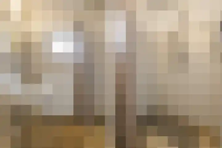 Duivenstraat 2 Oss thumbnail 20