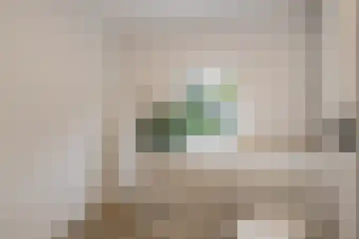 Duivenstraat 2 Oss thumbnail 21