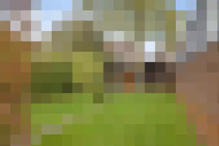 Duivenstraat 2 Oss thumbnail 22