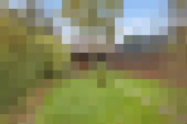 Duivenstraat 2 Oss thumbnail 23