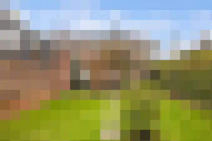 Duivenstraat 2 Oss thumbnail 24