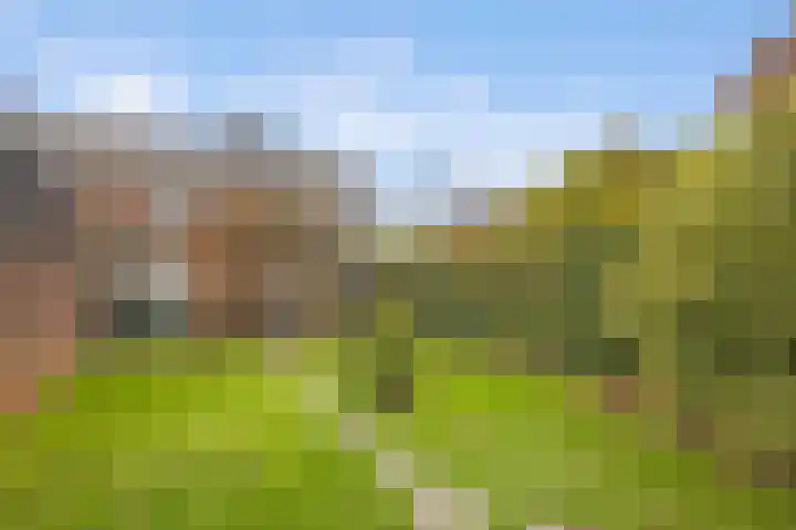Duivenstraat 2 Oss thumbnail 25