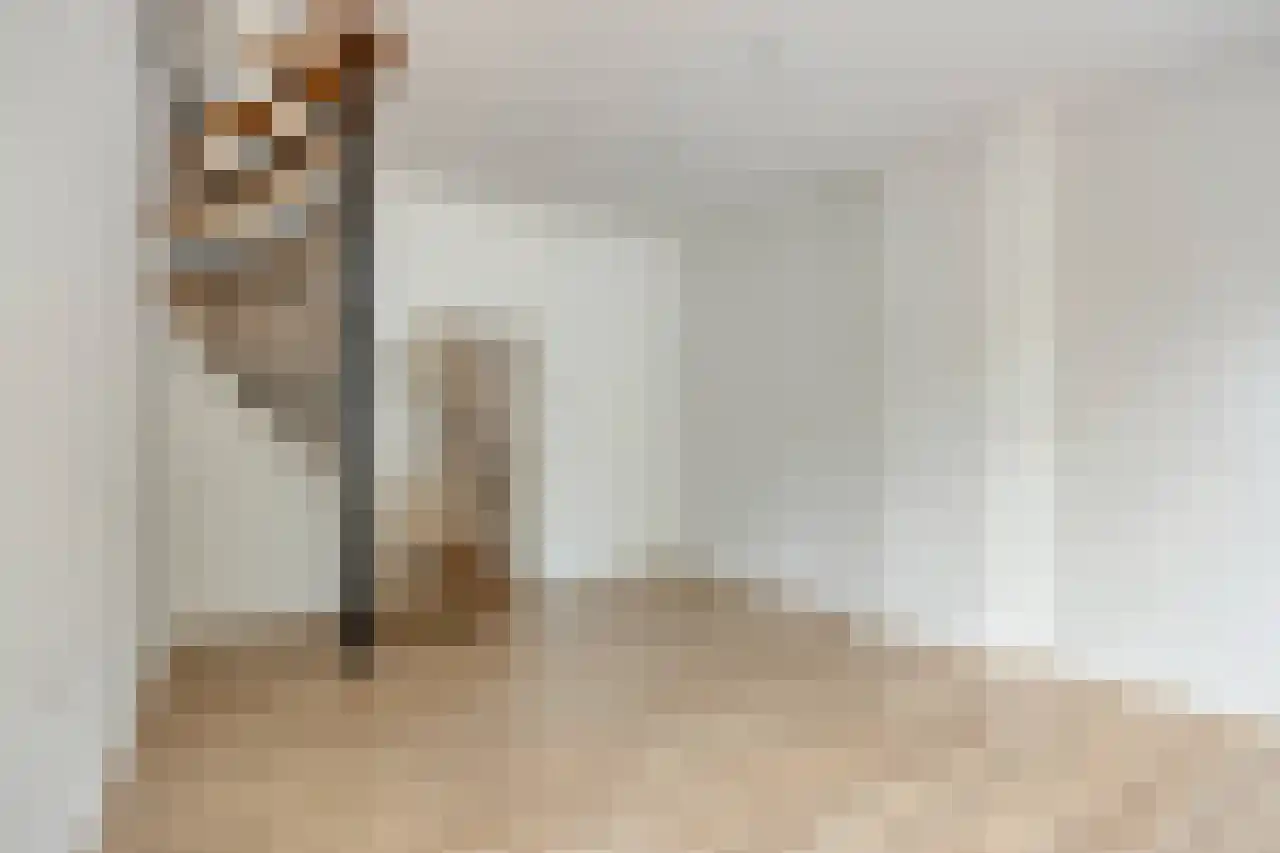 Duivenstraat 9 A Mheer thumbnail 5