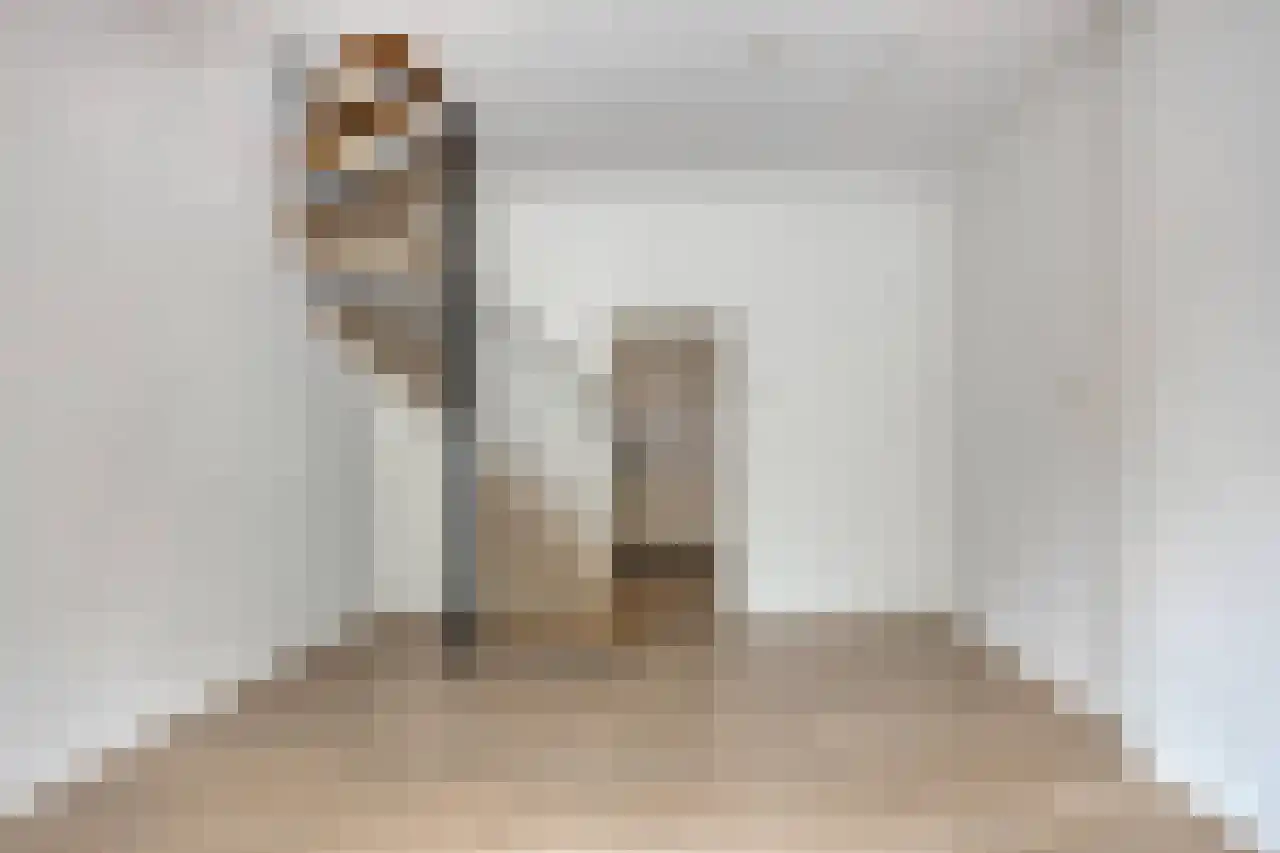 Duivenstraat 9 A Mheer thumbnail 6